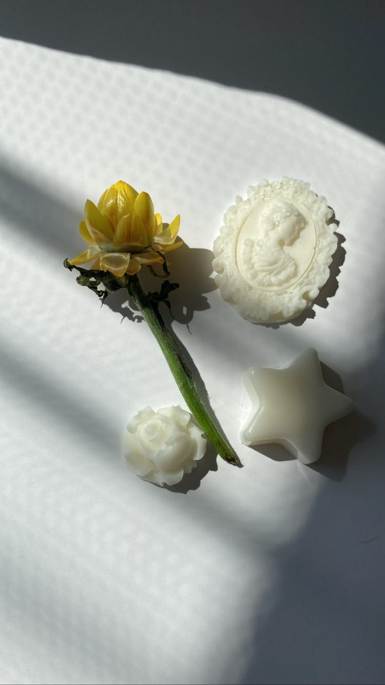 Wax melt - tablete parfumate din ceara