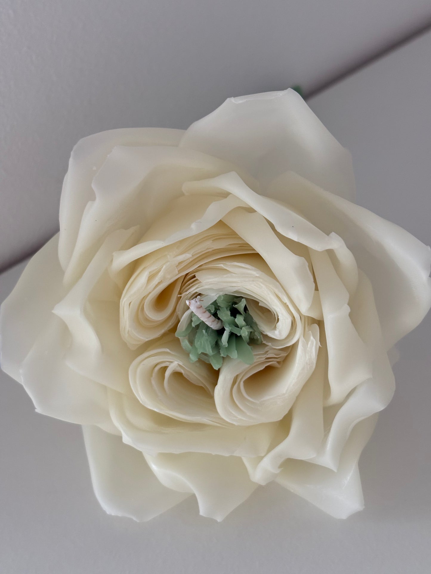 Infloritoare - Trandafir english rose lumanare tip floare naturala