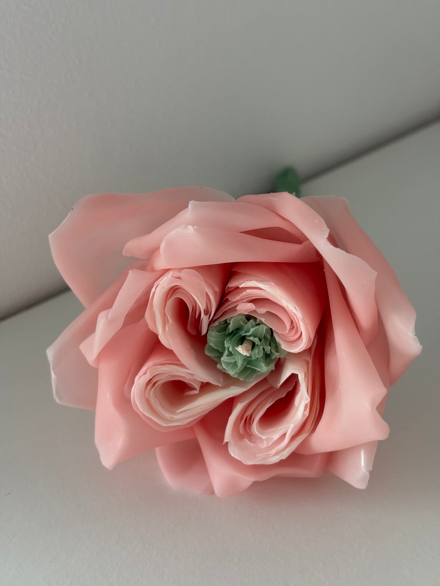 Infloritoare - Trandafir english rose lumanare tip floare naturala