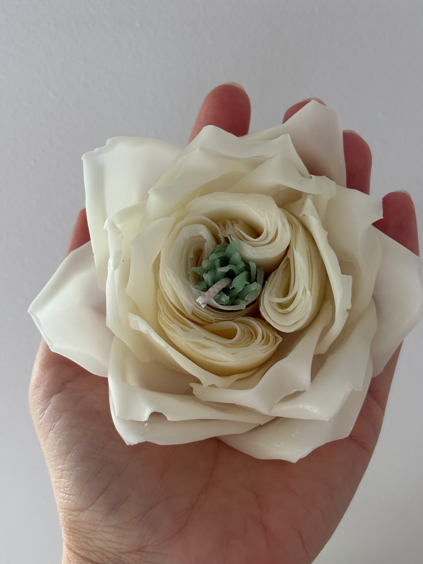 Infloritoare - Trandafir english rose lumanare tip floare naturala