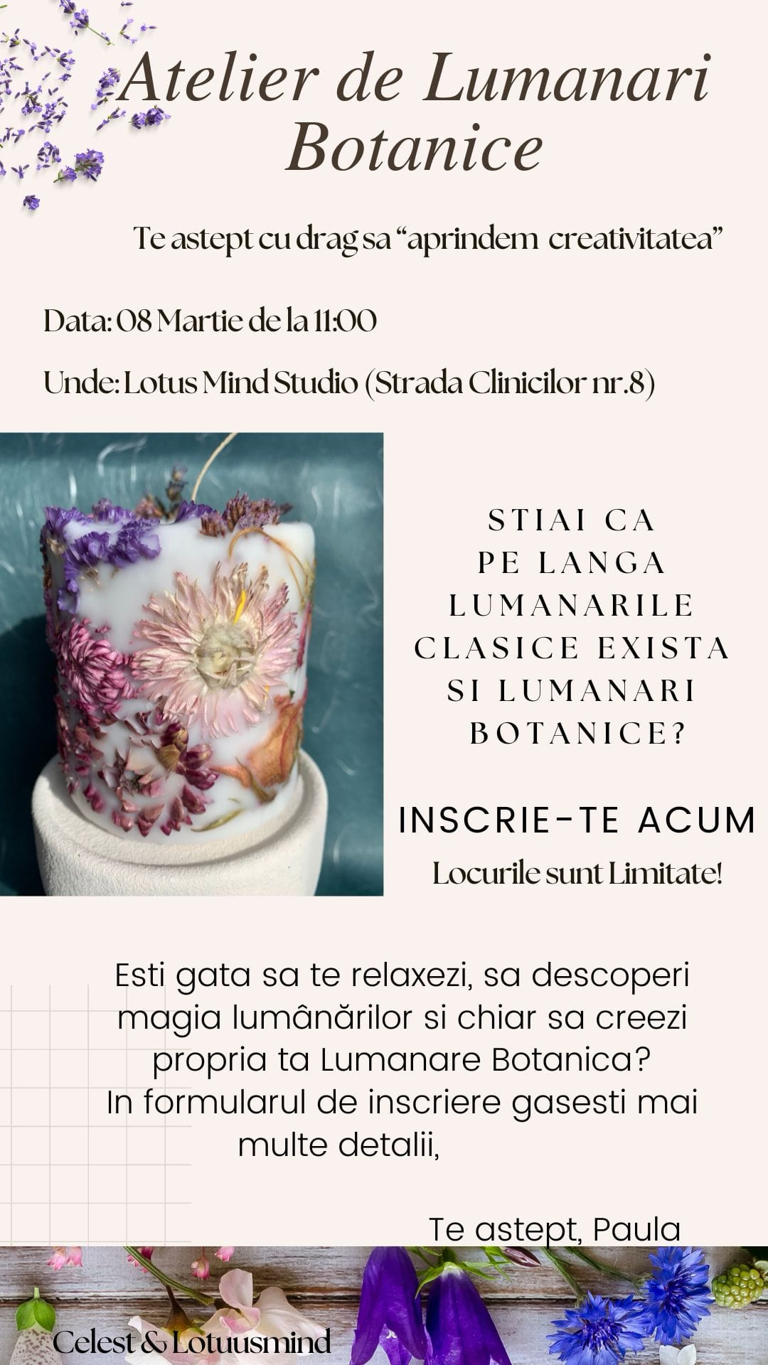 Atelier Lumanari Botanice Cluj-Napoca