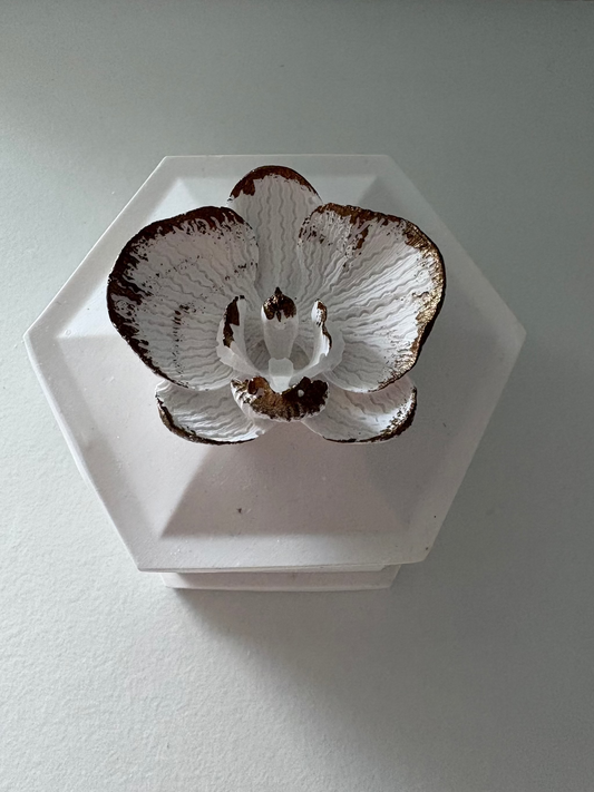 Black orchid - recipient ceramic