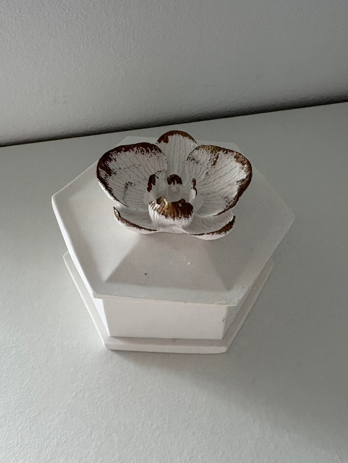 Black orchid - recipient ceramic