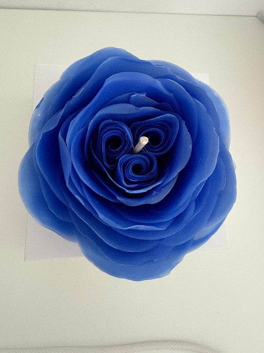Infloritoare - Ranunculus lumanare tip floare naturala